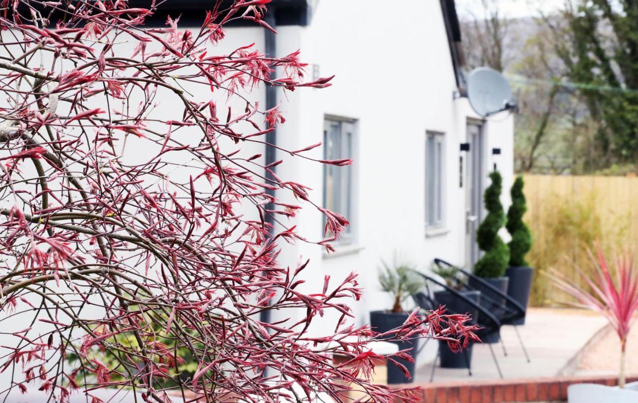 Pen-Y-Worlod Cottages アバーガベニー エクステリア 写真