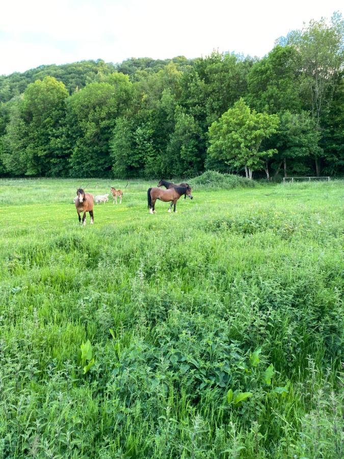 Pen-Y-Worlod Cottages アバーガベニー エクステリア 写真